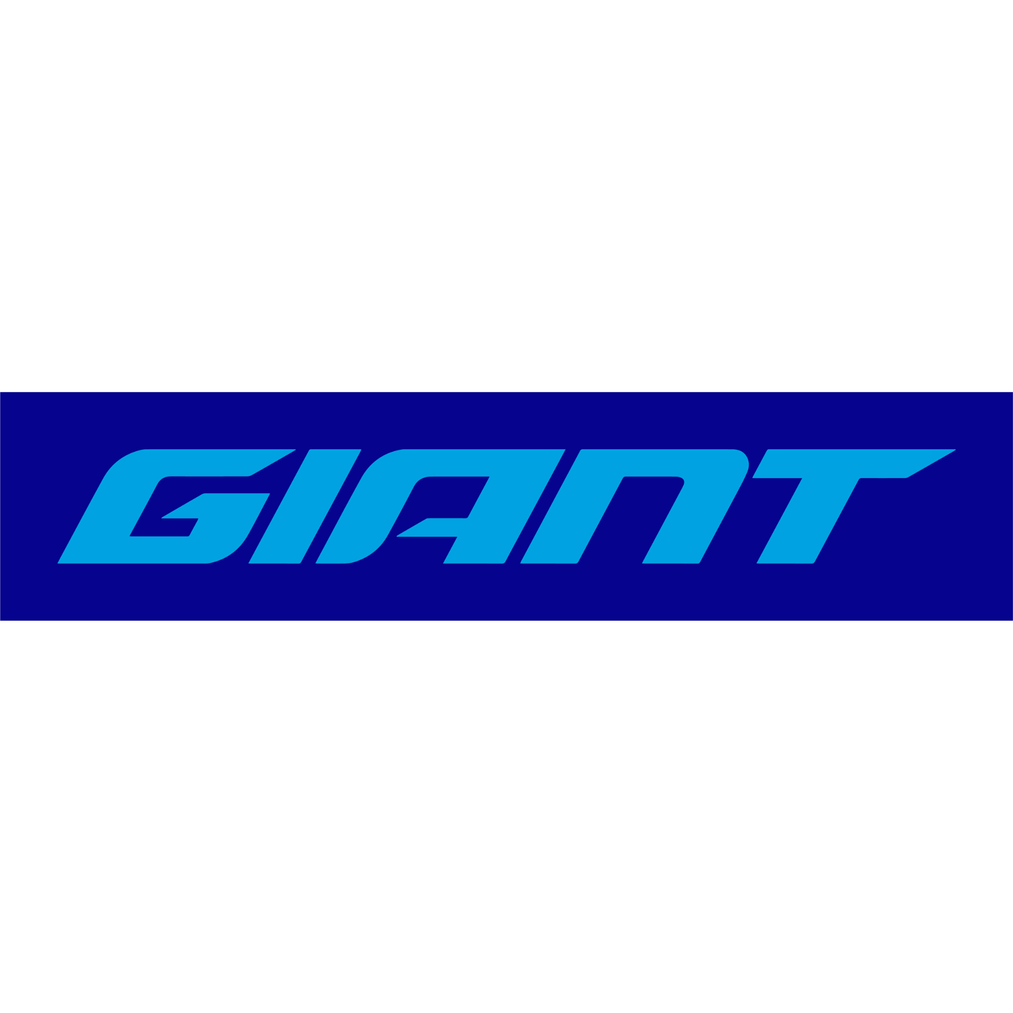 Giant Road Bike