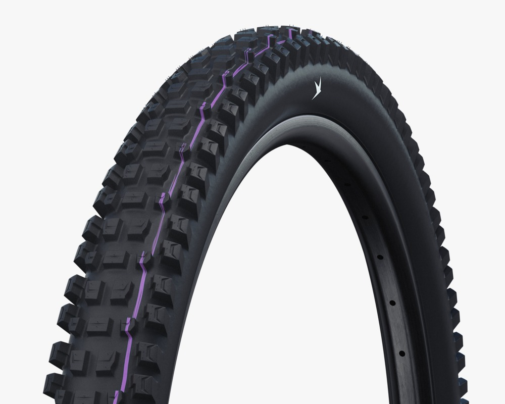 SCHWALBE Albert Pro Evo Tubeless Radiai Folding Tire