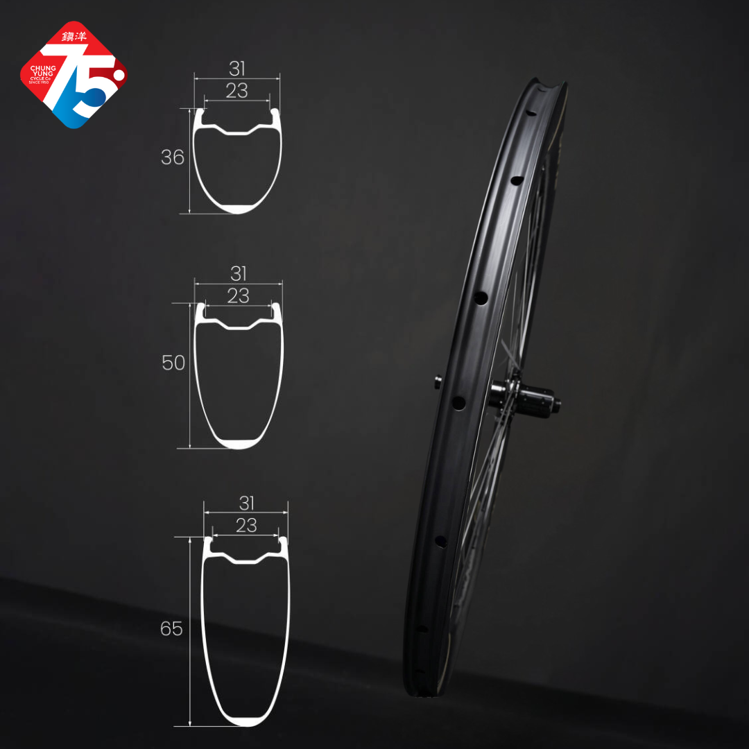 ELITEWHEELS Drive 65D II 碟剎碳纖輪組-HG / ELITEWHEELS Drive 65D II Disc Brake carbon wheelset-HG