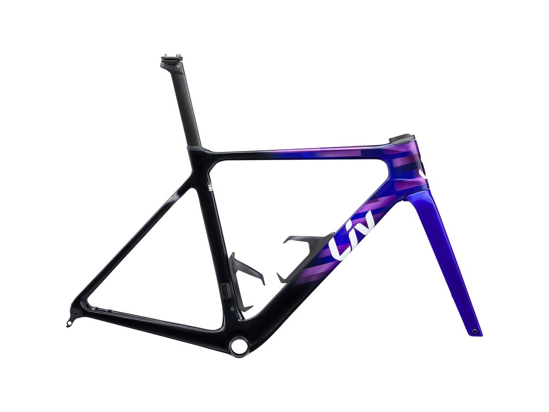 Liv Enviliv Advanced SL 公路車車架連前叉 / Liv Enviliv Advanced SL Road Frame & Fork
