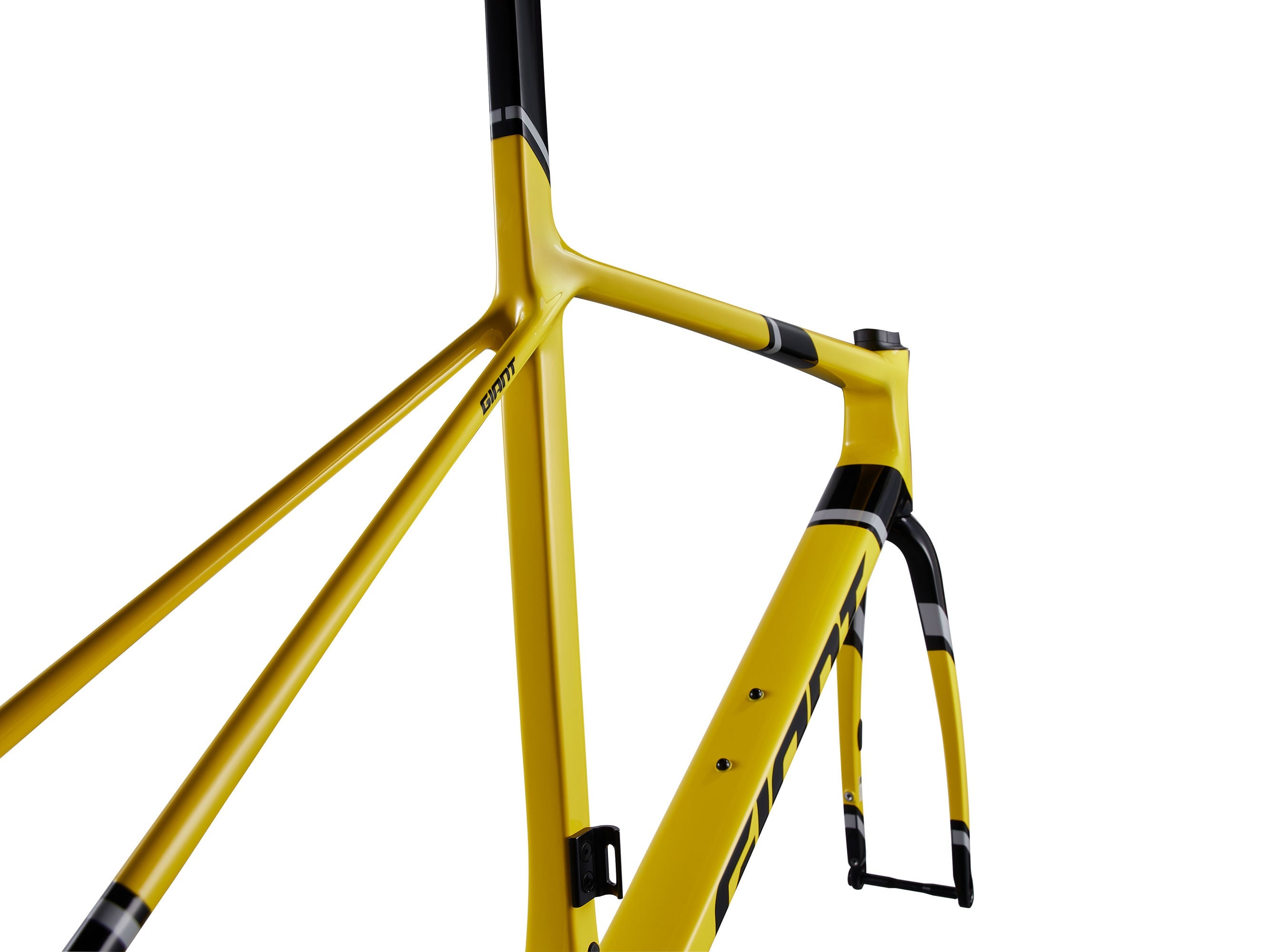 Giant 2025 TCR Advanced SL 公路車車架連前叉/ Giant 2025 TCR Advanced SL Frame & Fork