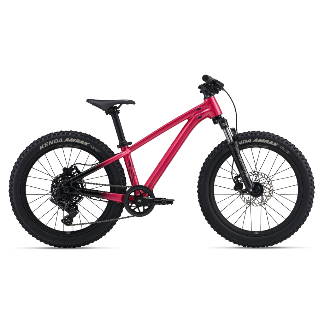 Liv 2027 STP 20 FS Kids Mountain Bike