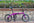 DAHON DOVE D6 ALUMINUM FOLDING BIKE-BYA661-16" / DAHON DOVE D6 ALUMINUM FOLDING BIKE-BYA661-16"