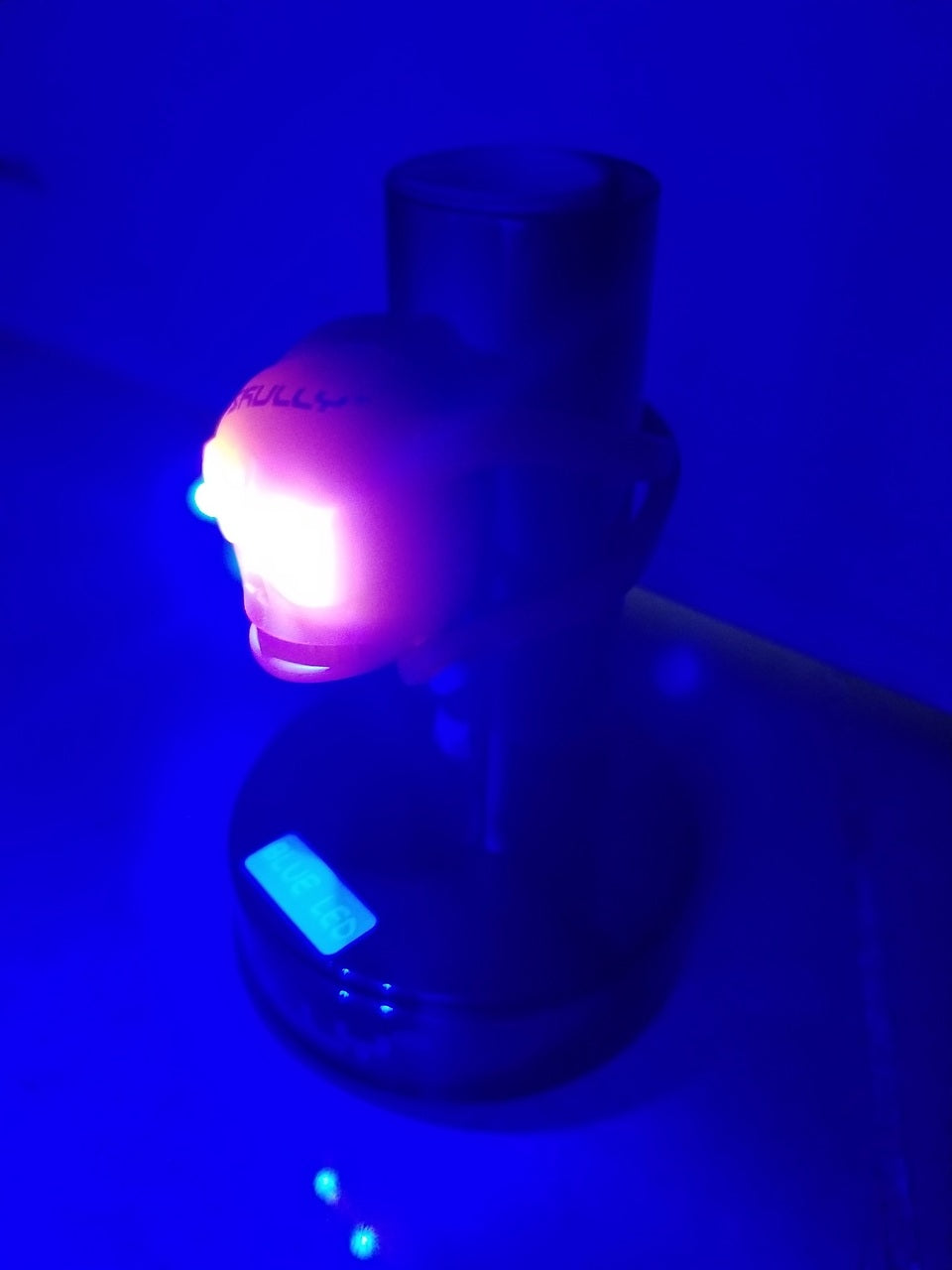 SKULLY CLIP-ON LED LIGHT/ SKULLY CLIP-ON LED LIGHT