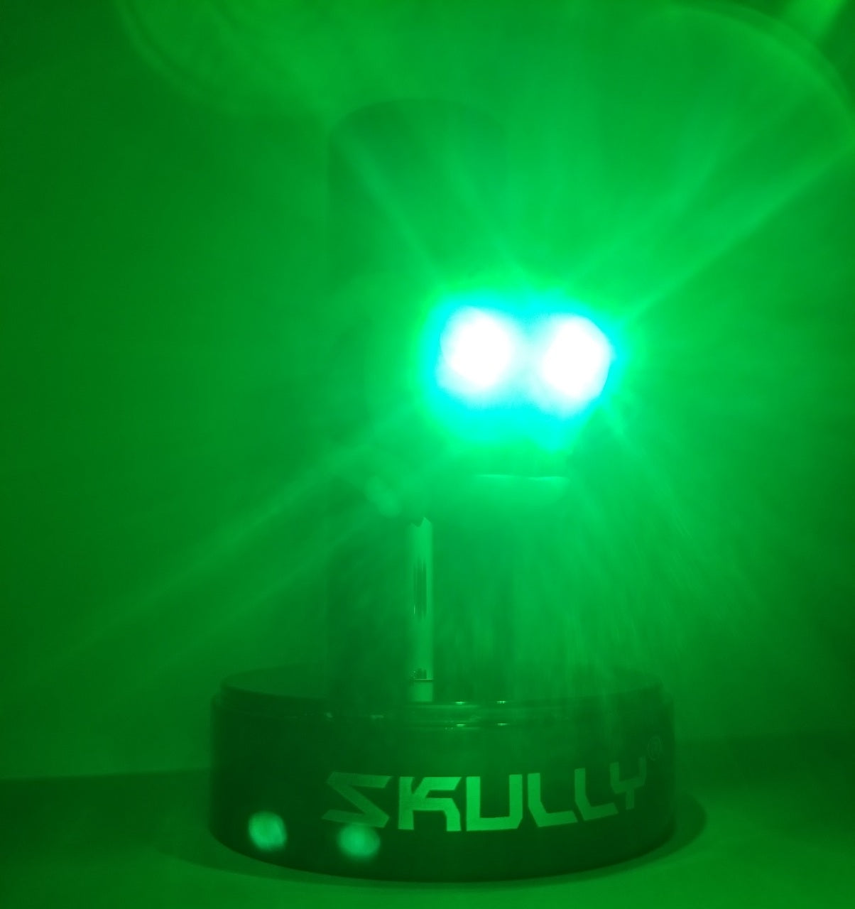 SKULLY CLIP-ON LED LIGHT/ SKULLY CLIP-ON LED LIGHT